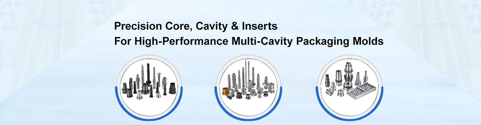 Componentes do molde da precisão