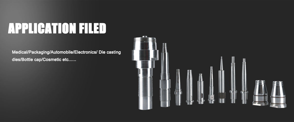 Peças do molde da precisão